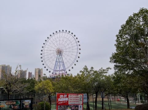 惠州星河山水酒店優惠
