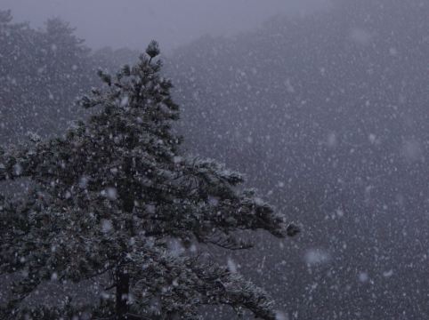 黃山獅林大酒店優惠