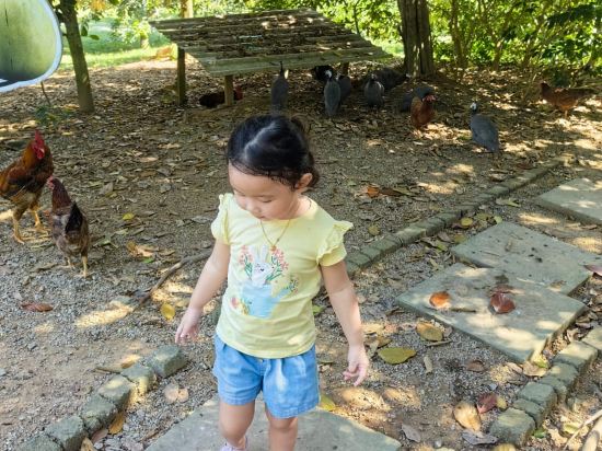 菲利亞温泉度假村優惠