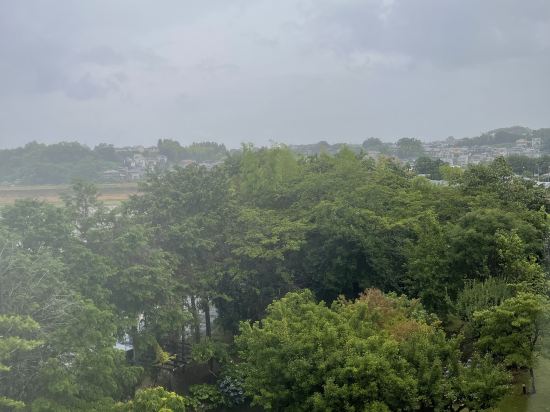 伊豆畑毛温泉　大仙家 クーポン