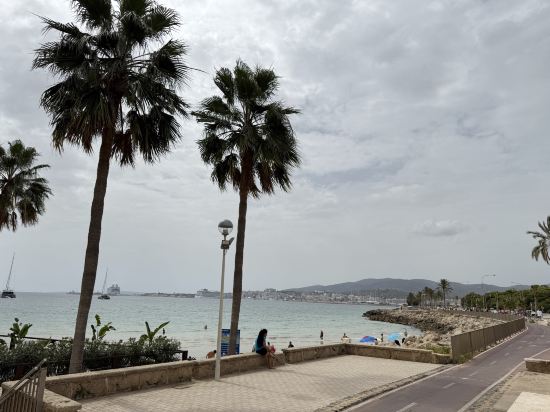 帕爾馬灣美利亞酒店優惠