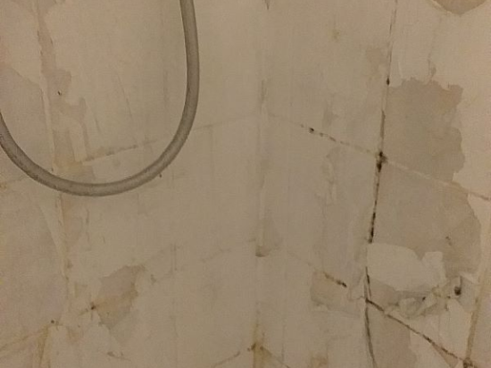 漢堡裏佩爾巴A&O旅館&旅舍優惠