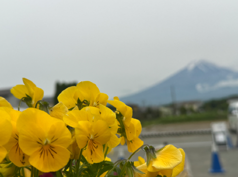 レイクヴィラ河口湖 クーポン