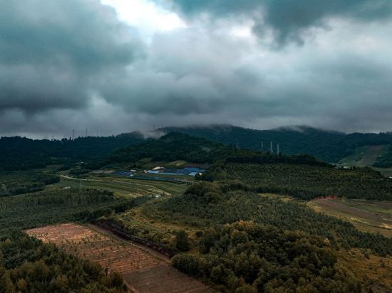 長白山麗祥假日酒店優惠