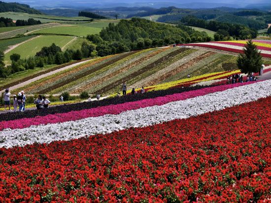 富良野リゾートホテル エーデルヴェルメ クーポン