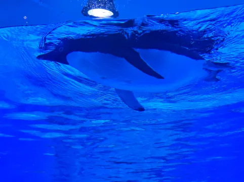 أيه سي هوتل باي ماريوت سان هوزيه داونتاون Photos