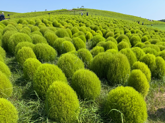 ホテルシーラックパル水戸 クーポン