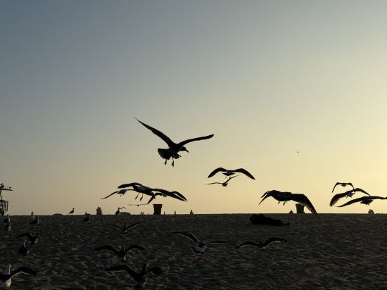 艾爾蒙特假日酒店 - 洛杉磯優惠