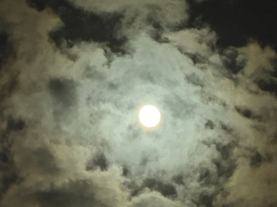 濟州奧克拉酒店優惠