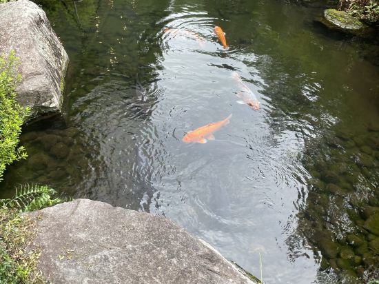 成田ゲートウェイホテル クーポン