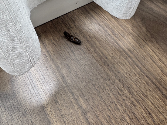 AHG 峴港阿爾塔拉套房飯店優惠