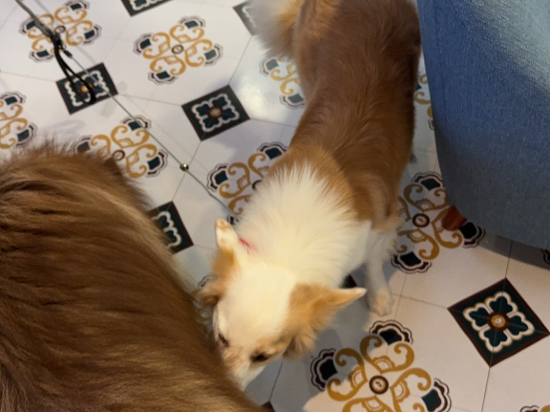 SlowHouse 花喜民宿（西街鐘樓店）優惠