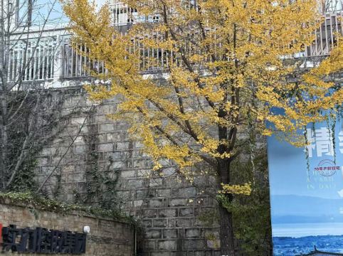 大理實力希爾頓酒店優惠