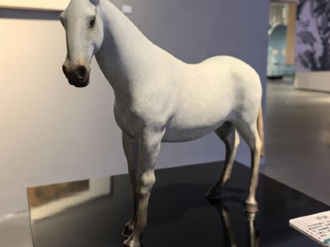 海南海花島歐堡酒店優惠