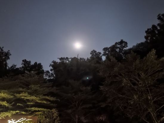鶴山方圓福朋喜來登酒店優惠