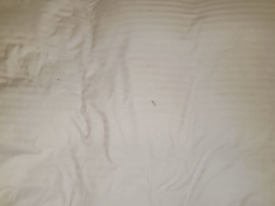 甲府ワシントンホテルプラザ クーポン