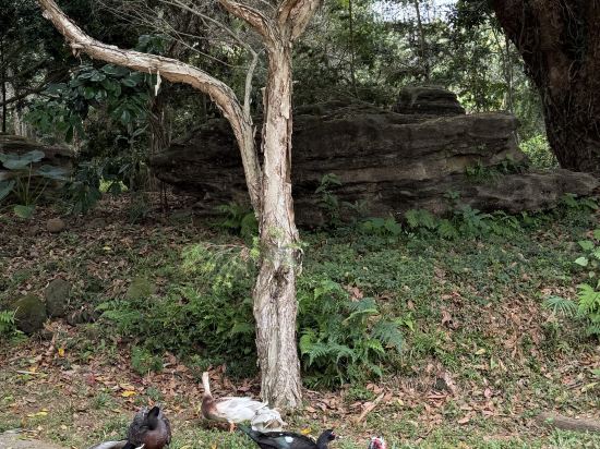 五柳園休閒農場優惠