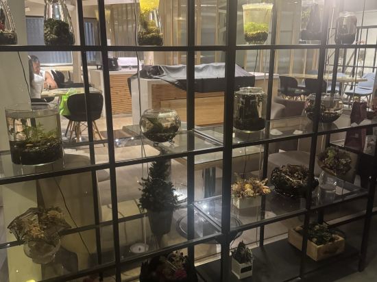 高雄樹屋旅店優惠