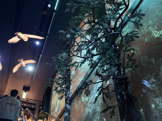 ドーミーインPREMIUM渋谷神宮前 クーポン