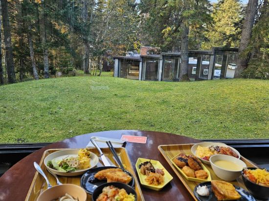 星野集團 Tomamu the Tower優惠