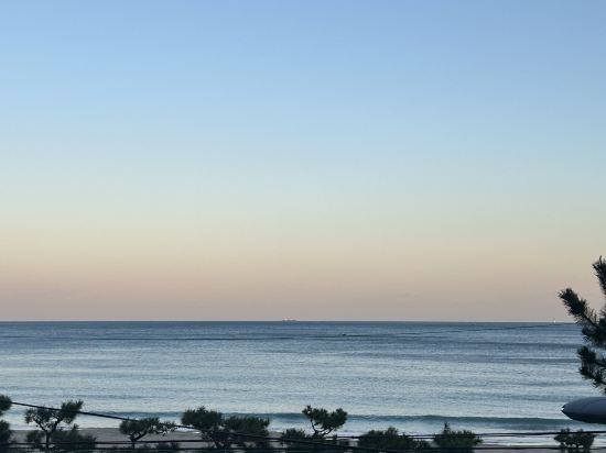 하운드 가든&테라스 호텔 쿠폰