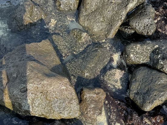 제주 마레보비치호텔 쿠폰