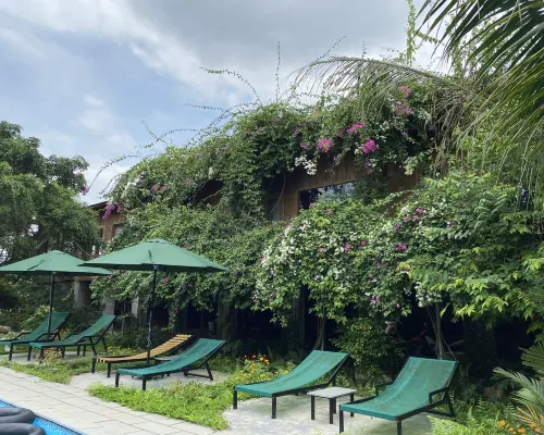 Tuyet's Homestay Photos