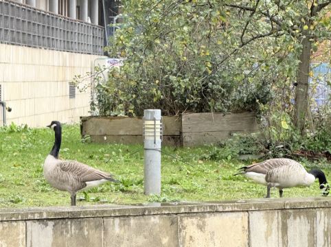 倫敦人酒店優惠