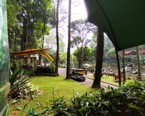 Safari Resort Photos