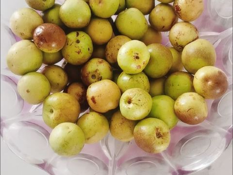 深圳葵花酒店公寓優惠