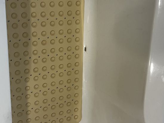 吉林紫光苑華美達酒店優惠