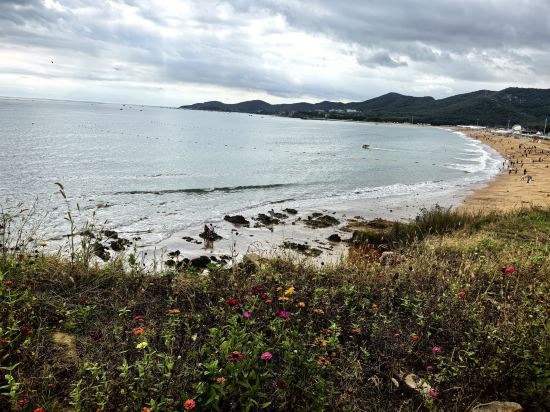 大連金石灘魯能希爾頓度假酒店優惠