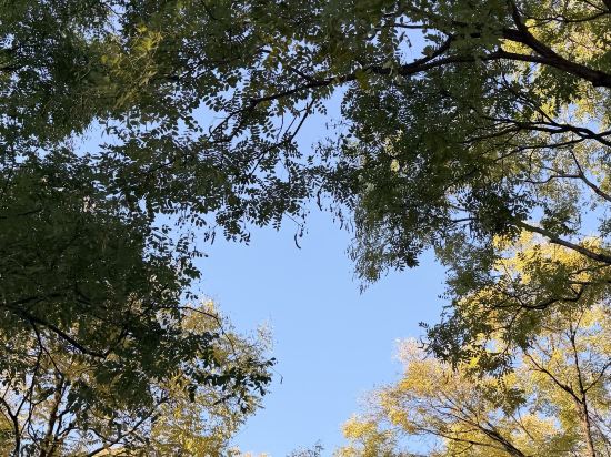 建國鉑萃酒店（北京環球度假區店）優惠