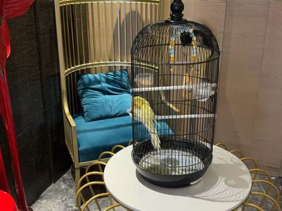 錦江都城酒店（廣州萬達廣場店）優惠