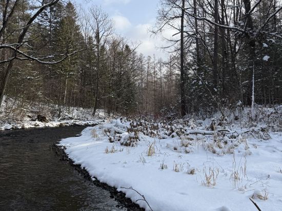 長白山萬達威斯汀度假酒店優惠