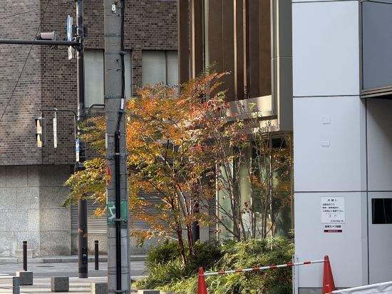 堺筋本町我的住宿酒店優惠