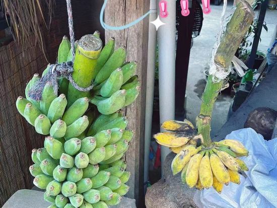 西雙版納汐嶼酒店（告莊星光夜市店）優惠