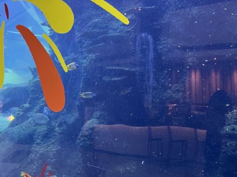 佛山希爾頓酒店優惠