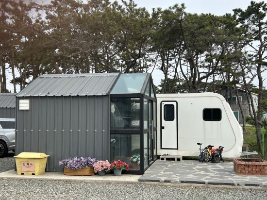 Pohang Uni's Sea Caravan (Homigot Branch) 쿠폰