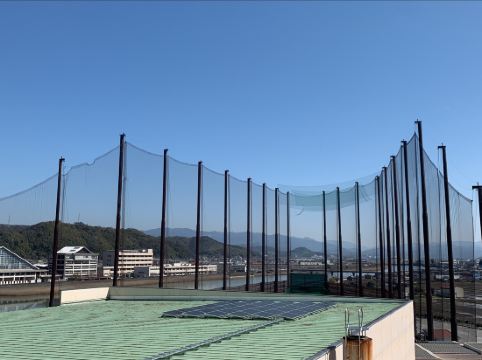 セリーズ クーポン