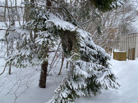 函館大沼 鶴雅リゾート エプイ クーポン