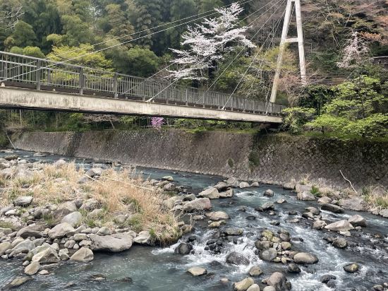 箱根温泉　鶴井の宿　紫雲荘 クーポン