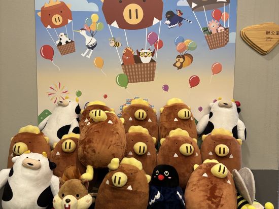 嘉義天成文旅繪日之丘優惠