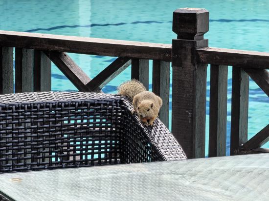 熱浪島塔拉斯海灘和水療度假村優惠