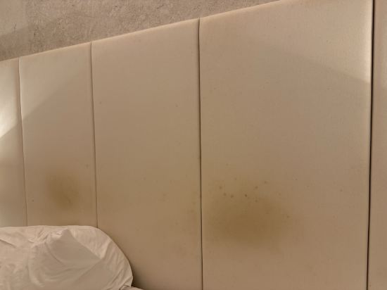 阿羅特爾馬斯喀特飯店-機場中轉優惠