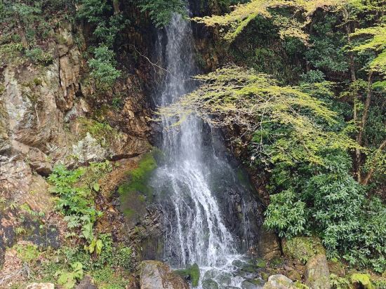 大和Roynet酒店岐阜優惠