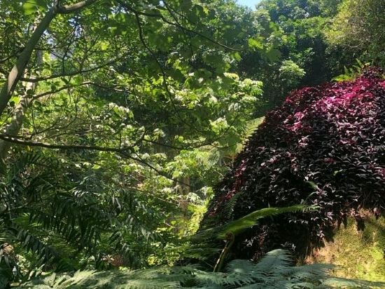 桔子水晶廈門中山路園林植物園飯店優惠