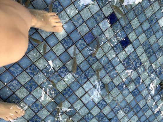 台山喜運來温泉大酒店優惠