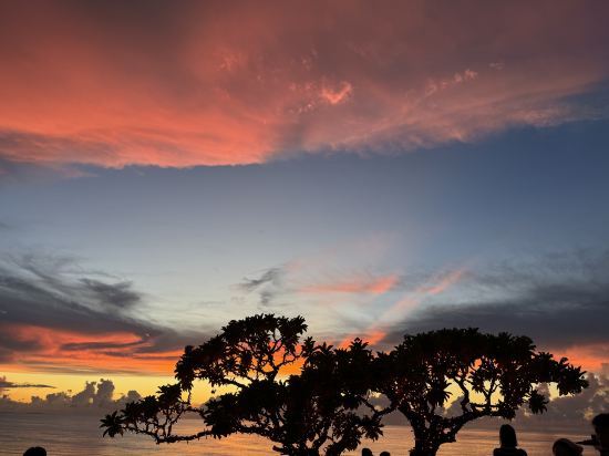 沖縄プリンスホテル オーシャンビューぎのわん クーポン