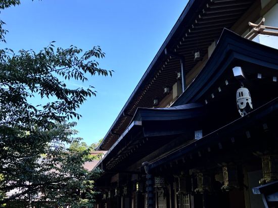 高野山別格本山 总持院 クーポン